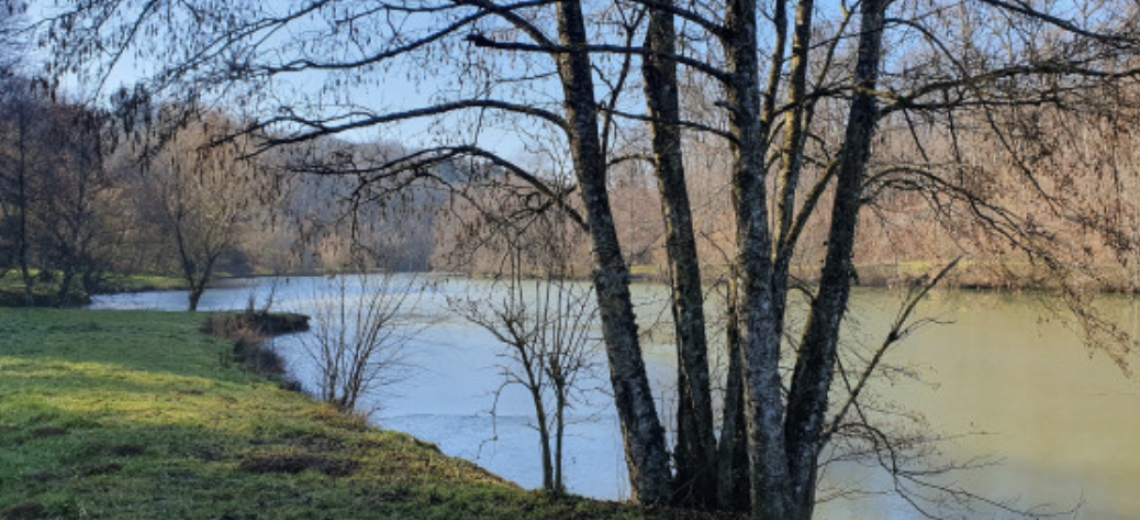 BALADE CONTÉE AU FIL DES ÉTANGS © NC