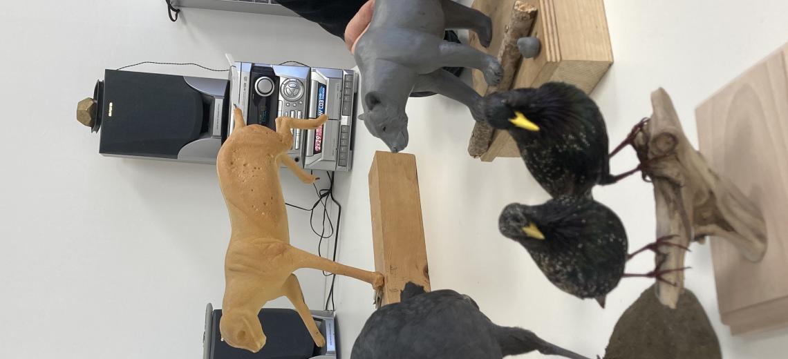 Les secrets de la taxidermie, rencontre-métier © Ville de Montbéliard