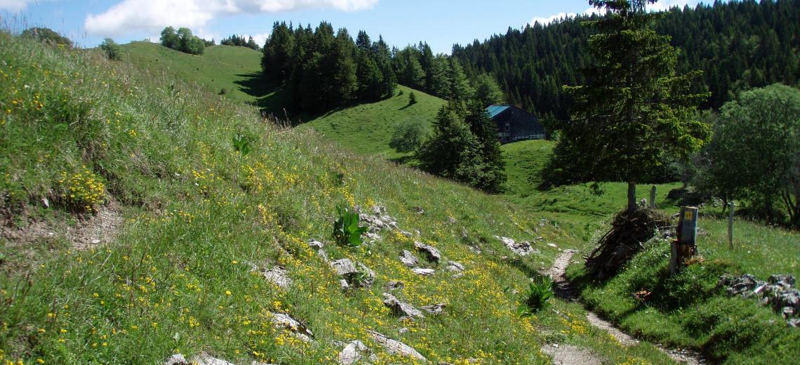 Paysage des Hautes Combes ©   Jura Tourisme