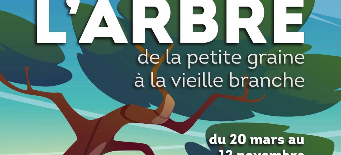 L'ARBRE. DE LA PETITE GRAINE À LA VIEILLE BRANCHE. © Le Pavillon des sciences