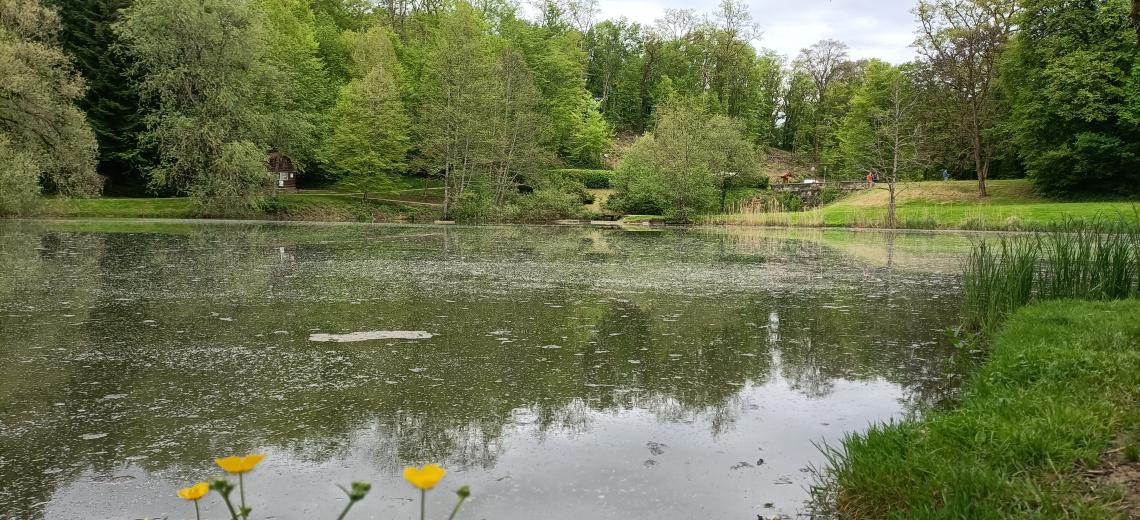 Étang de Beutal © Office de Tourisme du Pays de Montbéliard