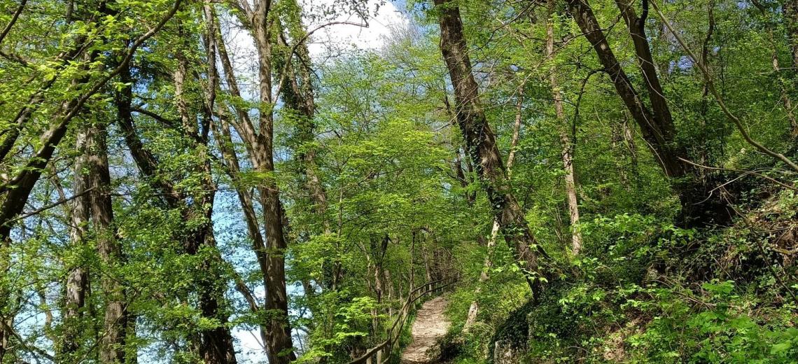 Sentier Littéraire André Beucler © Pays de Montbéliard Tourisme