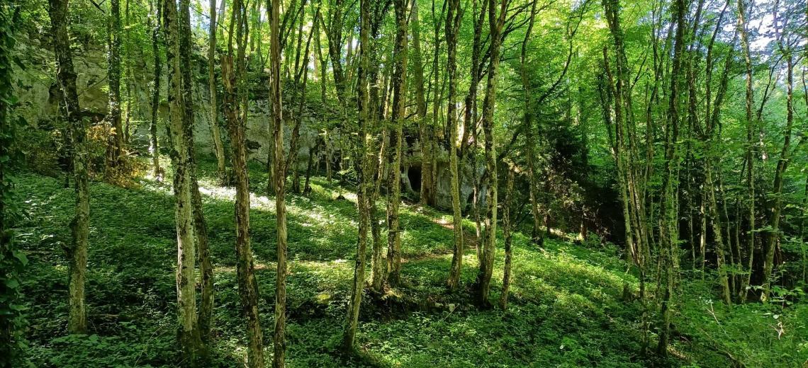 Grotte de la Tante Airie © Pays de Montbélaird Tourisme