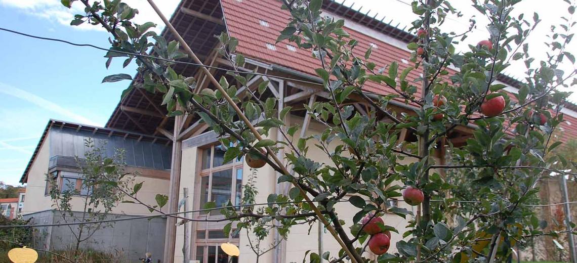 LA DAMASSINE, MAISON DE LA NATURE ET DES VERGERS 1 © PMA