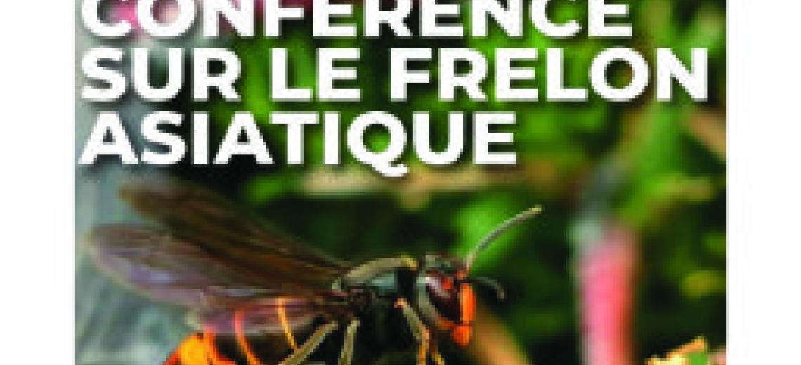 Conférence Frelon Asiatique © Mona +