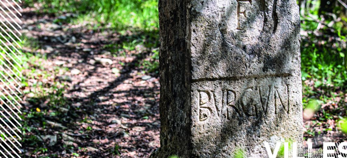 Sur les traces des bornes © Mona +