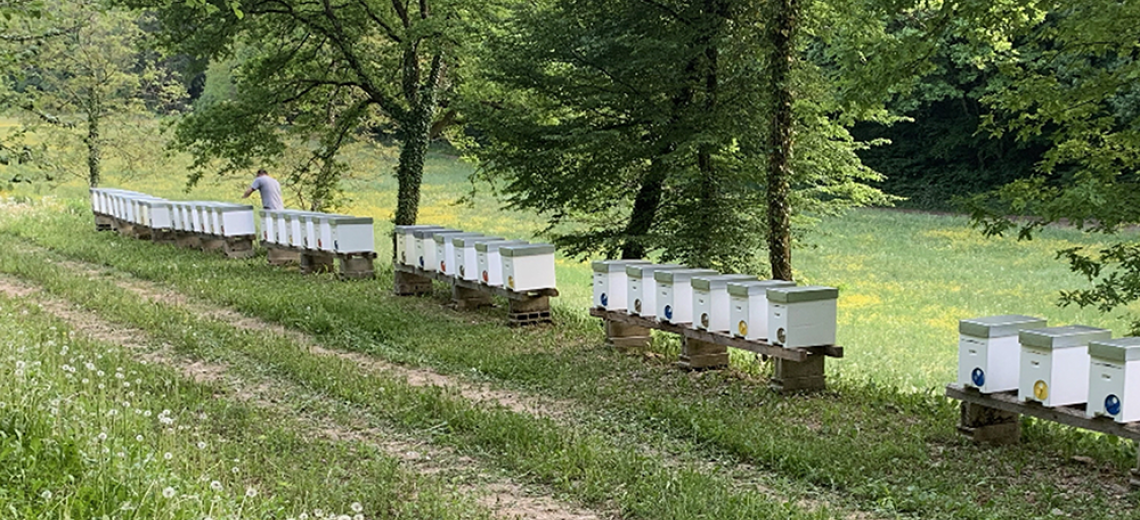 Miel de Franche Comté © Les miels de Franche-Comté