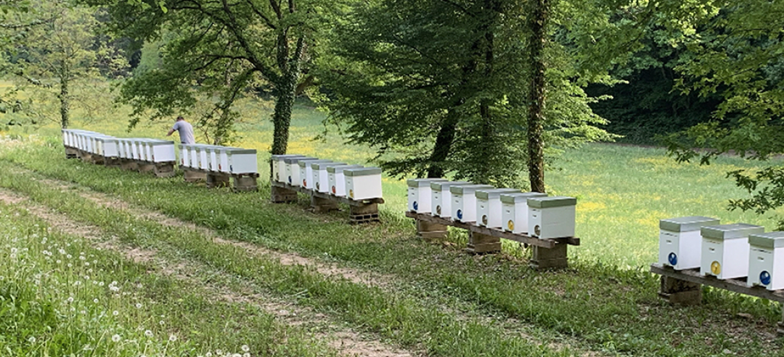 Miel de Franche Comté