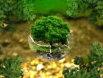 environmental-protection-326923 © libre de droit - Pixabay