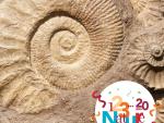Fossile  © PIXABAY