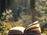 open-book-beautiful-setting © magnific