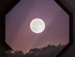 dreamy-windows-with-beautiful-nature © Magnific