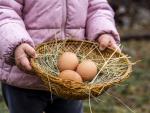 close-up-kid-holding-basket-with-eggs © Freepik