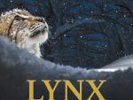 Projection en plein air du film LYNX © Mona +