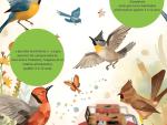 La Malle du jeu d'oiseaux © Libre de droit