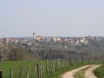IMG_8966