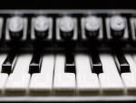 accordeon © libre de droits - Pixabay