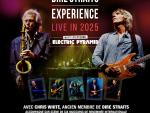 Concert The Dire Straits Experience © Mona +