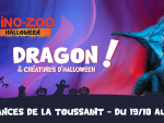 du 19/10 au 3/11 - 1