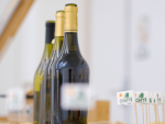 Vins du Jura et Comté  © Loris Faé 