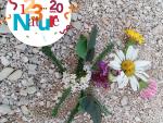 Land art photo  © PMA