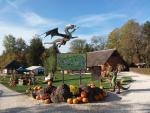 halloween-dragon © Dino-Zoo
