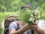 Close-up of a bouquet of wildflowers in the hands of a male traveler. © freepik