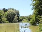 Étangs des Princes (18) © Pays de Montbéliard Tourisme