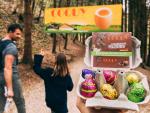 Chasse aux oeufs © @Dino-Zoo