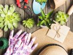 top-view-gardening-tools-wooden-floor