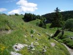 Paysage des Hautes Combes ©   Jura Tourisme