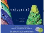 Conférence sur les perturbateurs endocriniens © Libre de droit