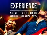 Concert The Dire Straits Experience © Mona + / Axone 