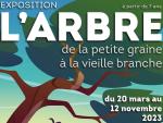 L'ARBRE. DE LA PETITE GRAINE À LA VIEILLE BRANCHE. © Le Pavillon des sciences