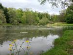 Étang de Beutal © Office de Tourisme du Pays de Montbéliard