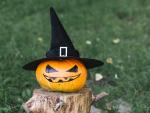 halloween-pumpkin-with-hat-stump © freepik
