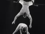 Cirque Acrobatique © libre de droits - Pixabay