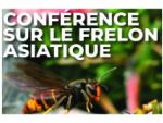 Conférence Frelon Asiatique © Mona +