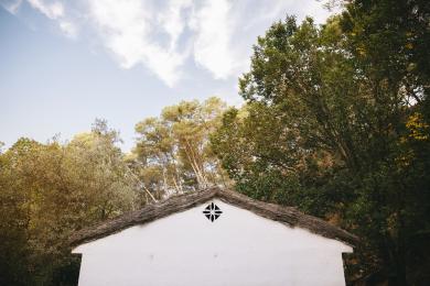 house-nature © Freepik