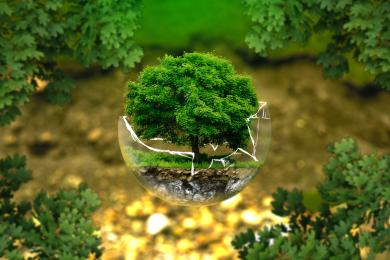 environmental-protection-326923 © libre de droit - Pixabay