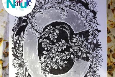 Découverte des encres ferrogalliques © Mona +