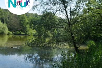 Balade sensorielle ©  A. Beuscart pour PMA