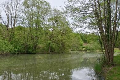 Etang de Beutal ©OTPM (27)