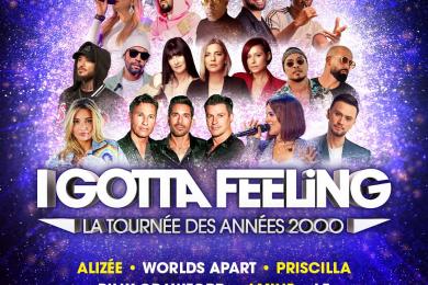 Concert I Gotta Feeling © I GOTTA FEELING - LE CONCERT
