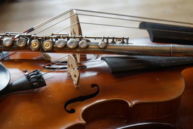 Violon © libre de droits