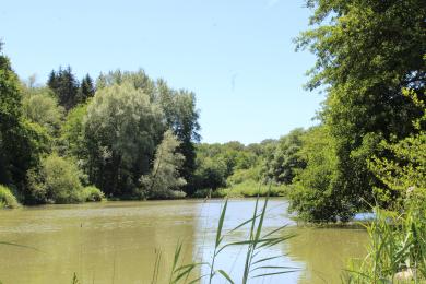 Étangs des Princes © Les Randonneurs de la Vallée du Rupt