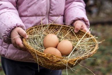 close-up-kid-holding-basket-with-eggs © Freepik