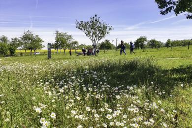 S'amuser avec la nature © PMA