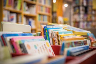 kollinger-books-5211309 © libre de droits - Pixabay