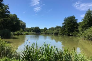 Étangs des Princes © Pays de Montbéliard Tourisme